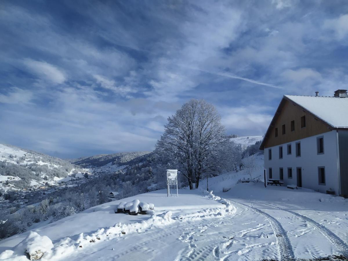 Gites De Moyenmont La Bresse Exterior photo